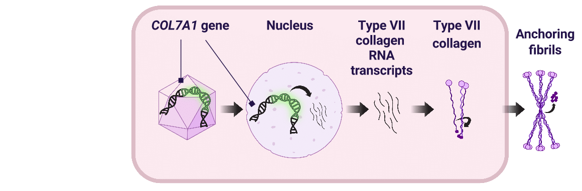 MOA activation